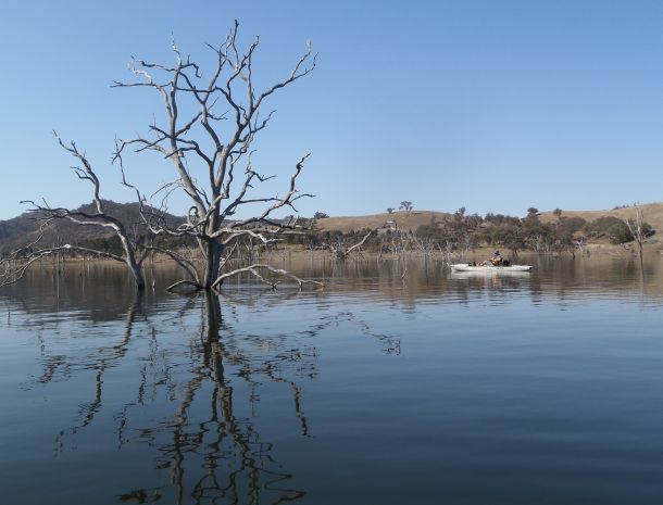 The final WAECO winner for 2012 is…